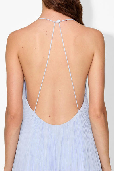Haydin maxi dress – Hydrangea